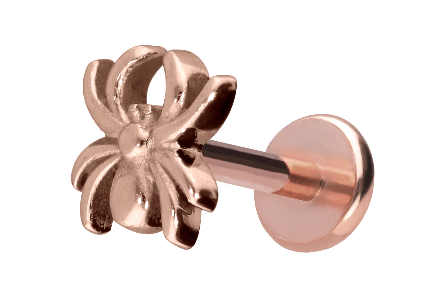 Titan Labret Piercing mit Push Fit SPINNE